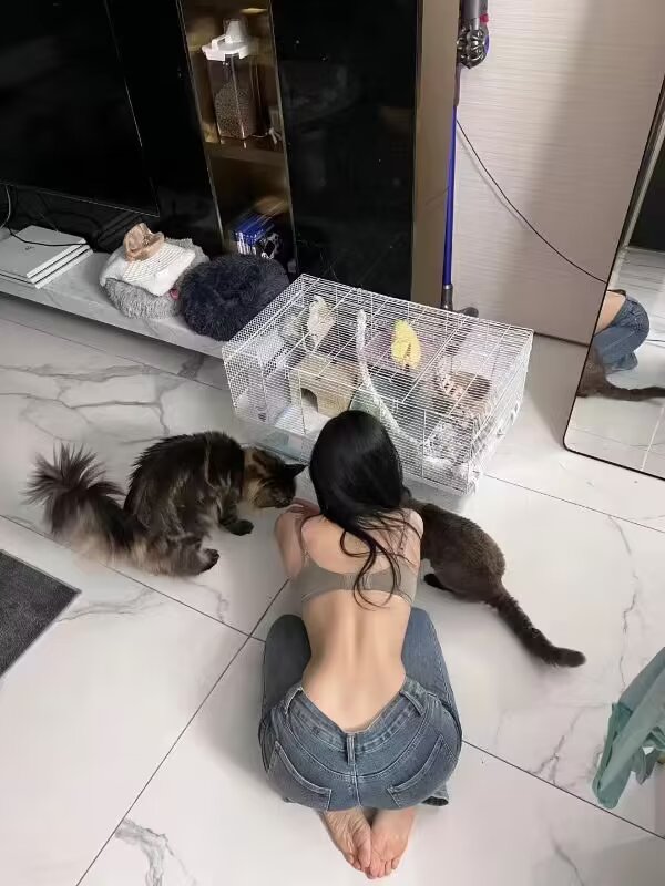 落寞的错觉《给不了的爱》